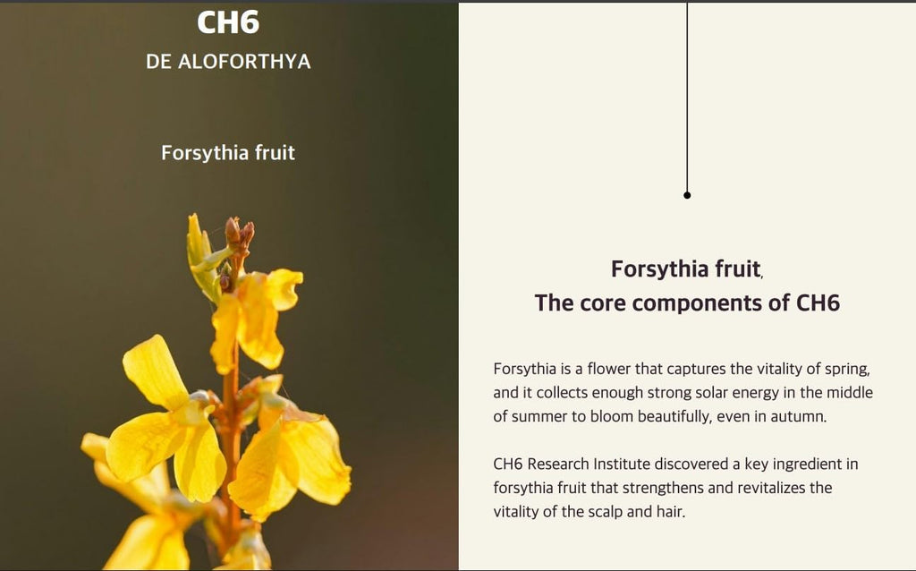 Kalwanji CH6 Shampoo